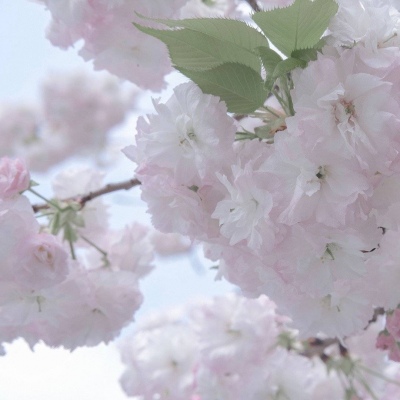 Furry插画故事感设计福瑞交流群